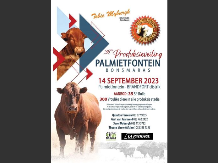 36STE PRODUKSIEVEIING PALMIETFONTEIN BONSMARAS