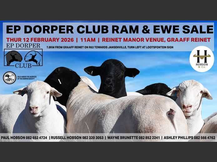 EP DORPER CLUB RAM AND EWE SALE