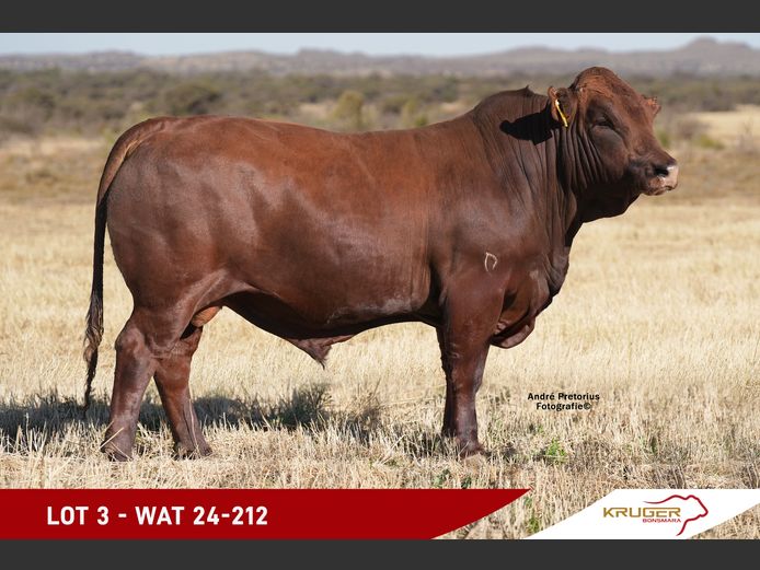 WAT240212 | KRUGER BOERDERY