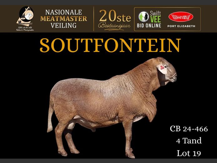 CB 24 466 | Soutfontein Meatmasters