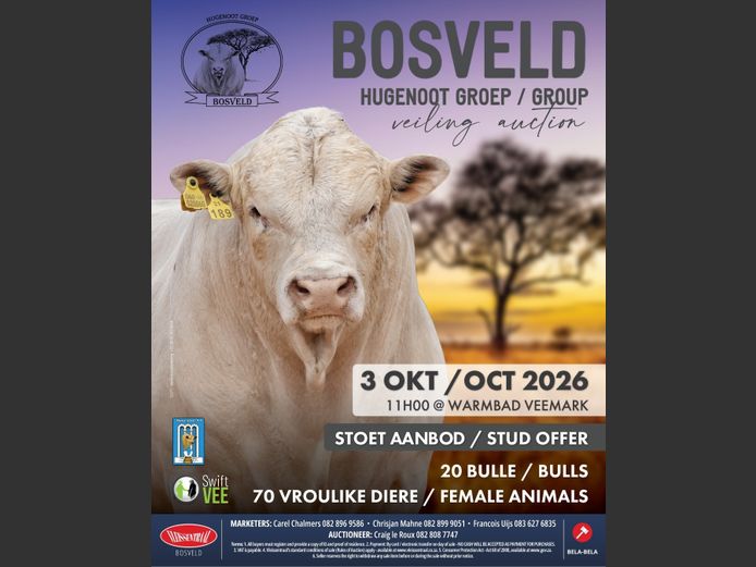 BOSVELD HUGENOOT GROEP STOET VEILING 