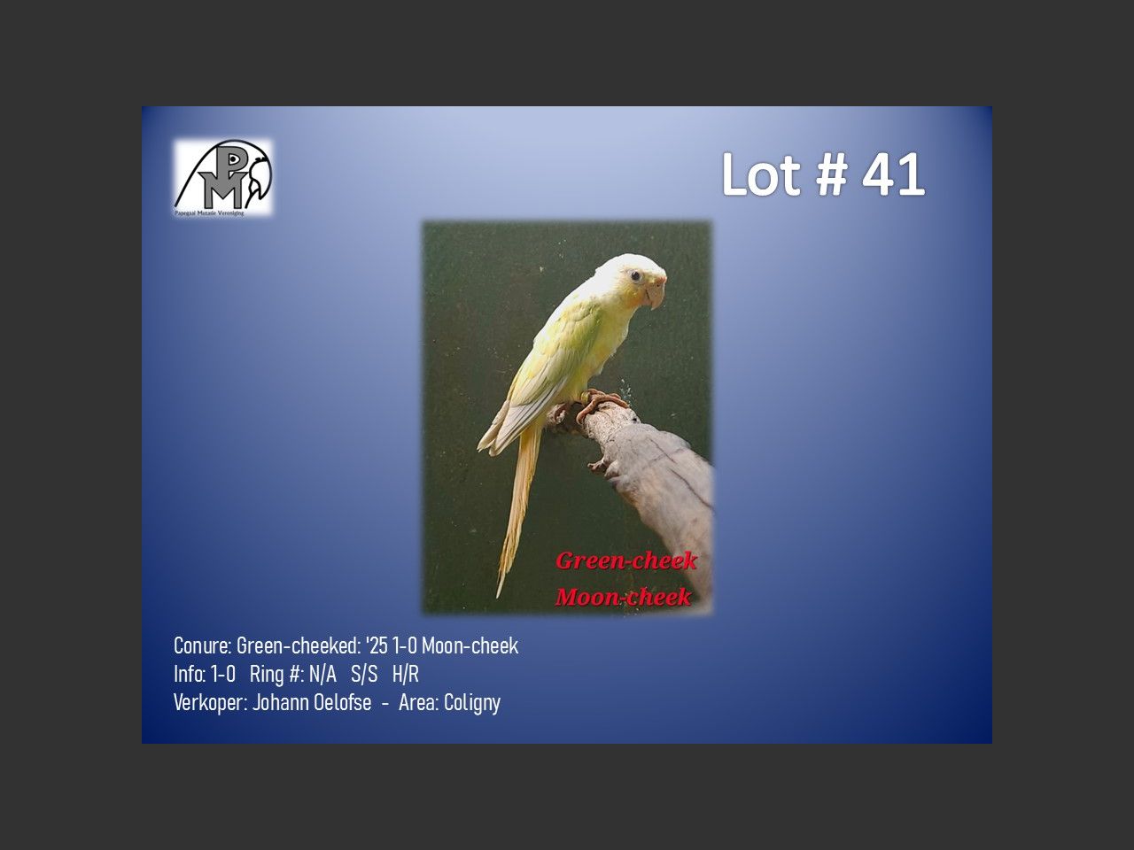 images