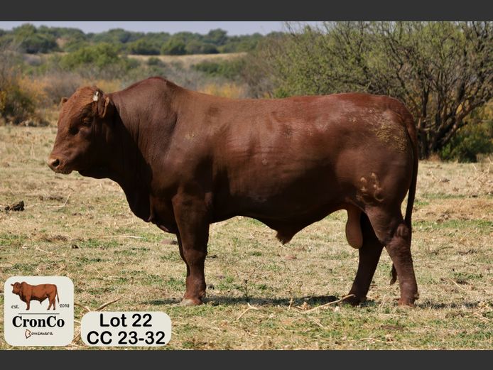 CC 230032 | CRONCO AGRI
