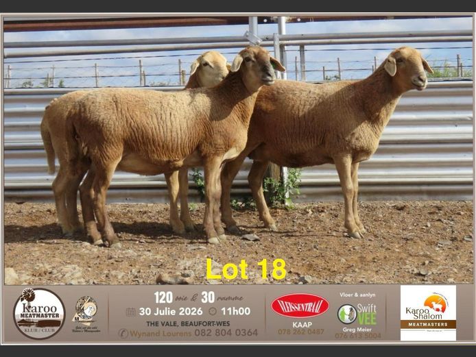 D25.120 | Jacques Strydom - Karoo Shalom Meatmasters