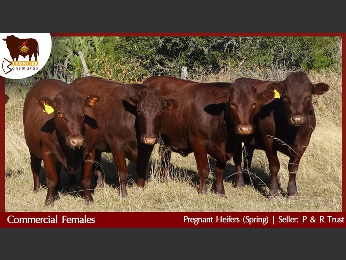 Commercial Animals | P & R Trust