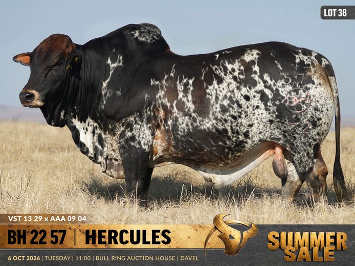 BH220057 | B. HURWITZ FARMING