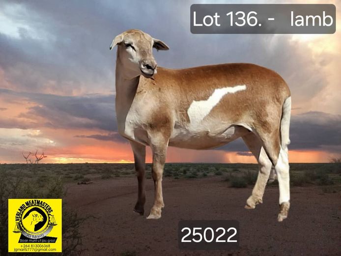 25022 | VERLAND MEATMASTERS