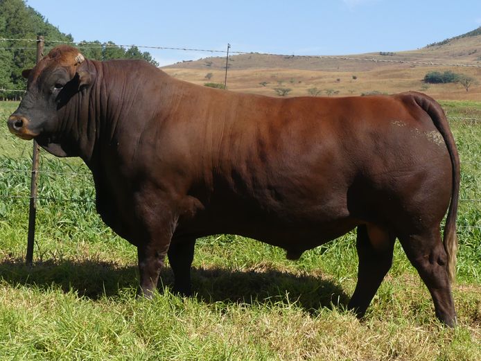 LAR 230035 | UP GEORGE FARMS CC