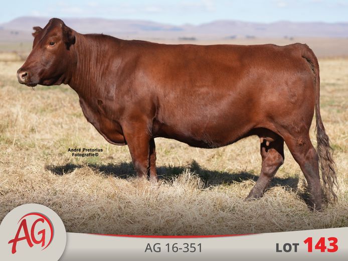 AG160351 | ARTHUR DE VILLIERS & SEUN