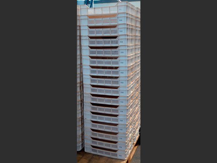 LOT OF 16: PLASTIC FRUIT CRATES