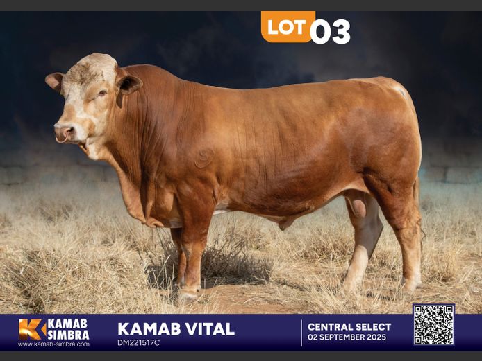 DM221517C | KAMAB SIMBRA