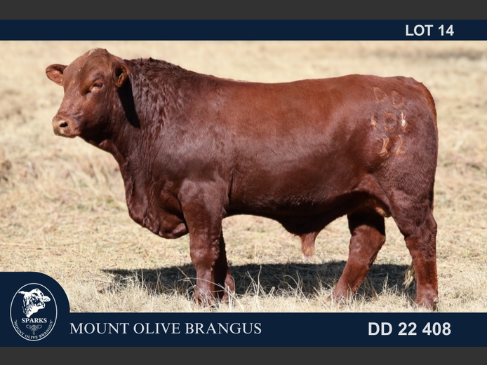 DD22408 | SPARKS CDH