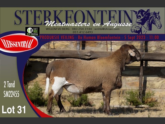 SM 22 455 | Sterkfontein Meatmasters