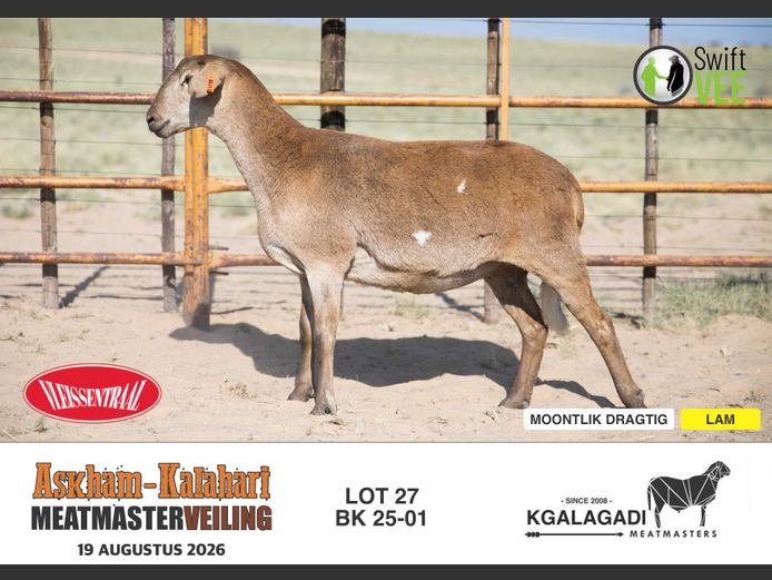 BK 25-01 | BARRI KNOETZE