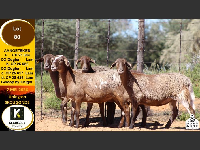 CP 25 617 | KLAARGOUD BOERDERY