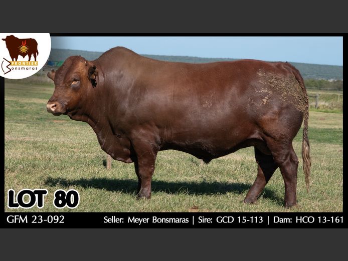GFM 230092 | MEYER BONSMARAS
