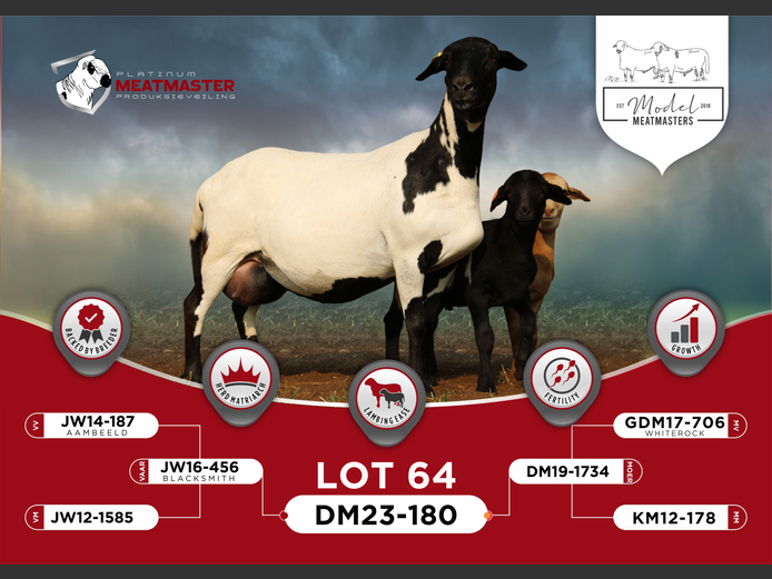 DM 23-0180 | Mario Marais - Model Meatmasters, Britz