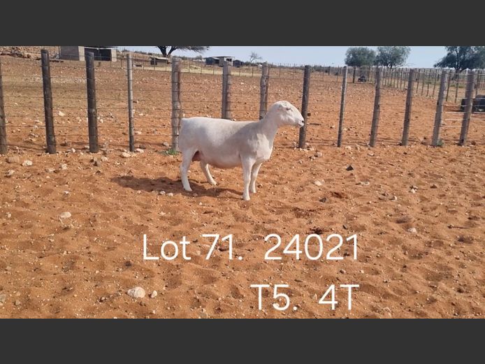 916240021W | R.J. CAHI & SON CC