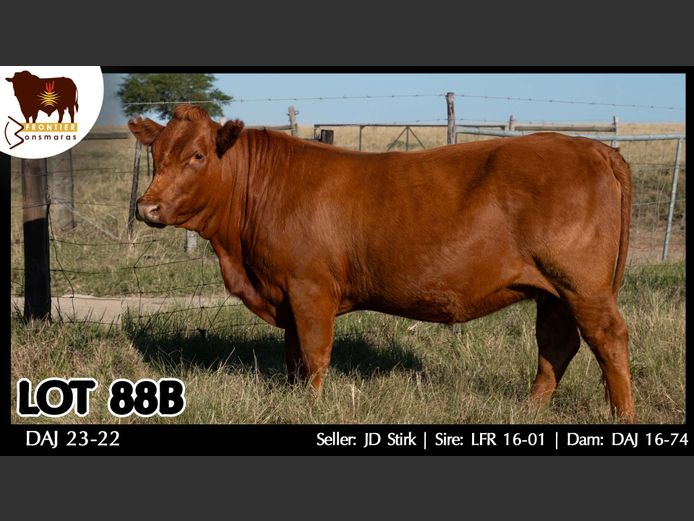 DAJ 230022 | J.D. STIRK