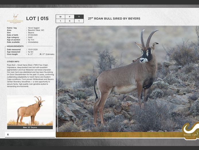 Roan | Groot Sleutelfontein (Pty) Ltd.