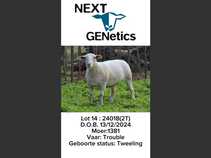 24018 | NEXT GENETICS