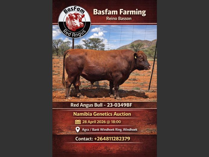 23-0349BF | BASFAM ANGUS