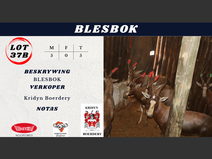 BLESBOK