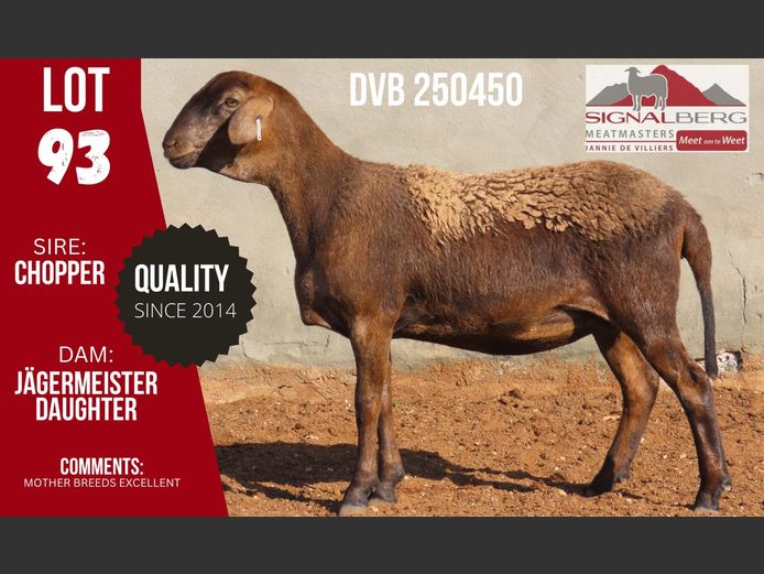 DVB 250450 | SIGNALBERG MEATMASTERS