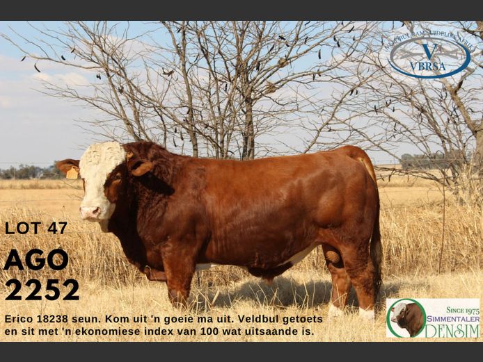 AGO2252 | AG ODENDAAL