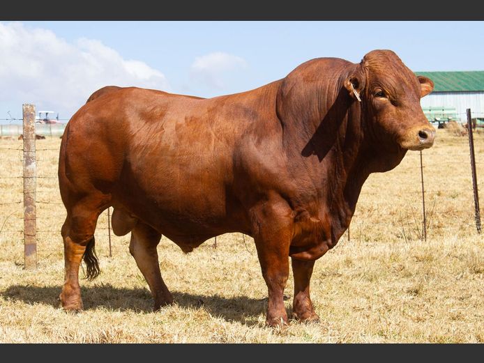 SE2340C | OUBOET BOERDERY