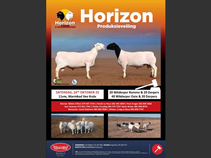 HORIZON DORPERS PRODUKSIEVEILING