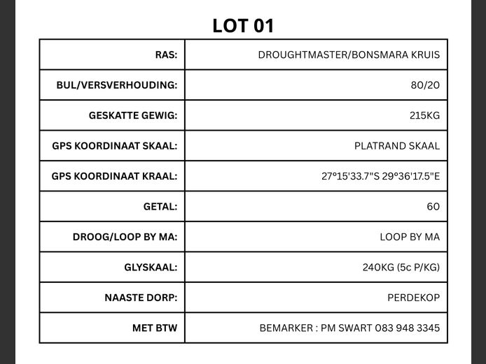DROUGHTMASTER/BONSMARA KRUIS
