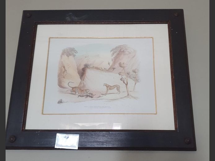 Darkwood Framed Print "Leopards Hunting"