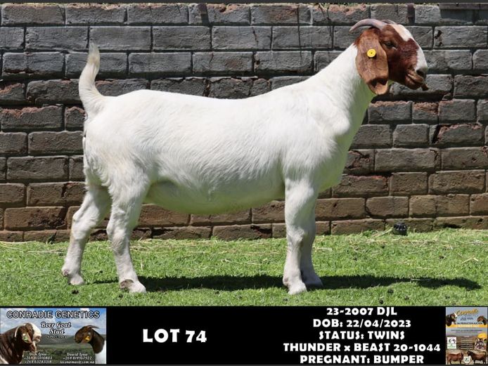 23-2007 DJL | DIRK LOUW