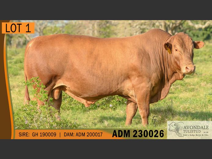 ADM 230026 | A.D. MULLINS