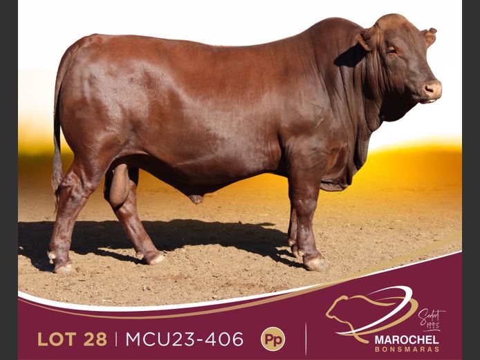 MCU 230406