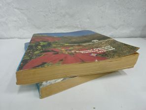images