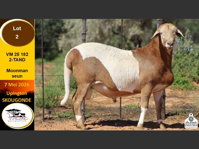 VM 25 182 | VREDE MEATMASTERS
