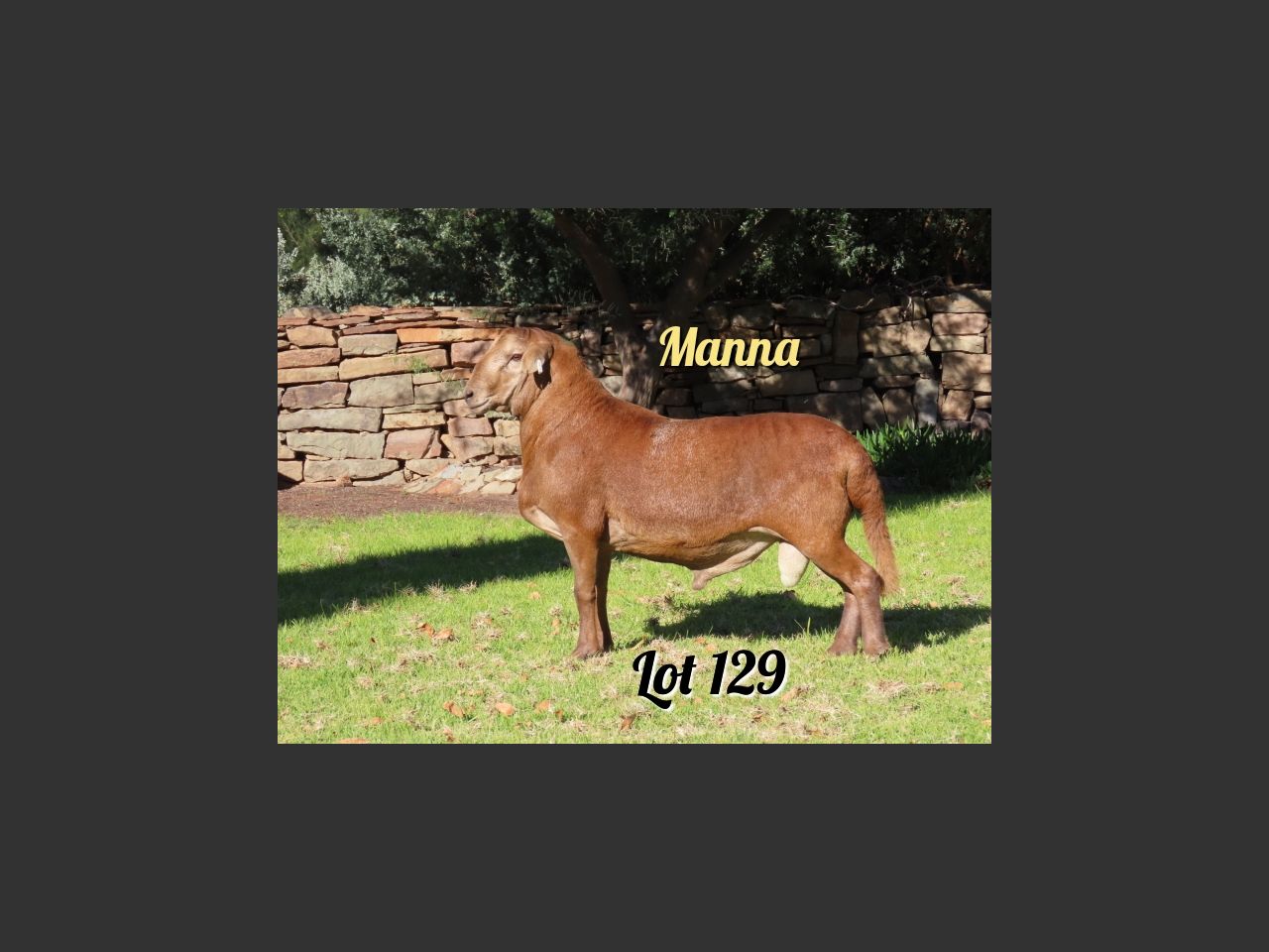 images