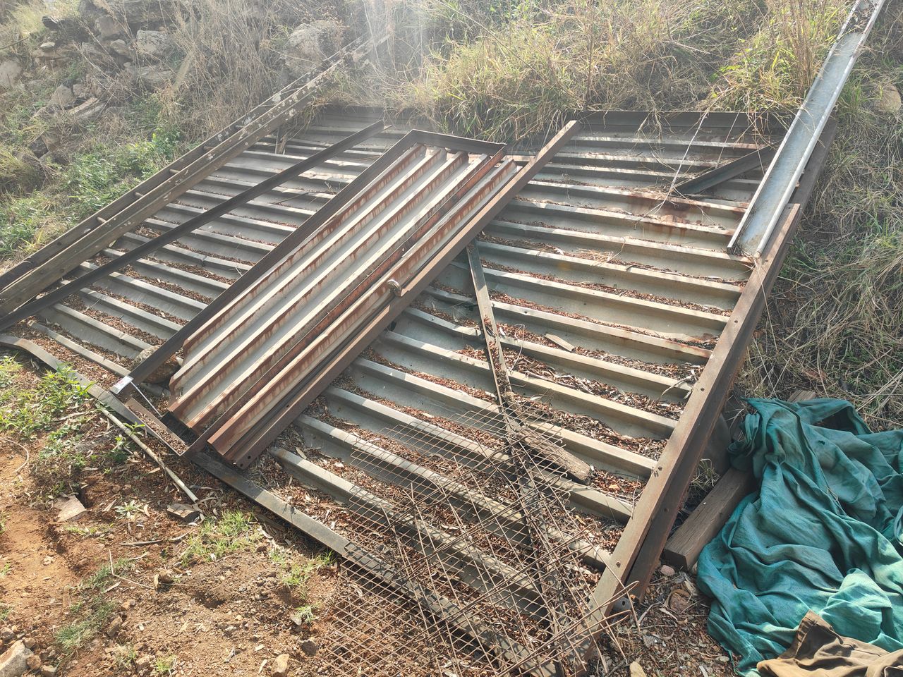 images