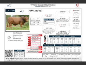genetic_data