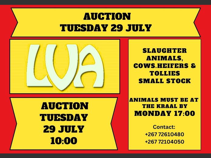 LVA WEEKLY SCALE AUCTION 