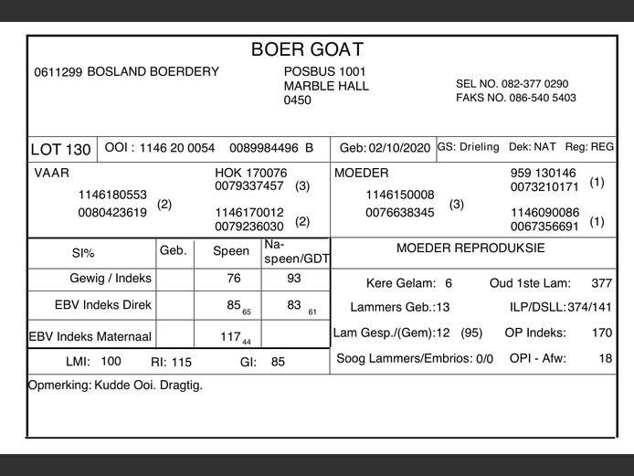 BBGF1146200054 #NV