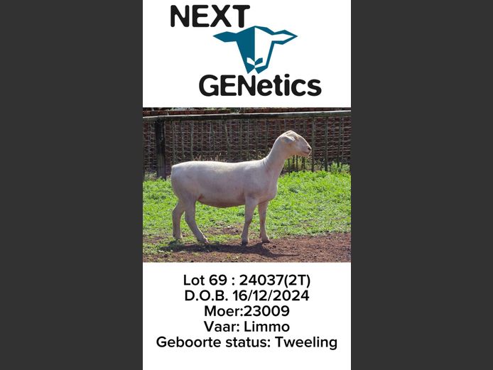 24037 | NEXT GENETICS