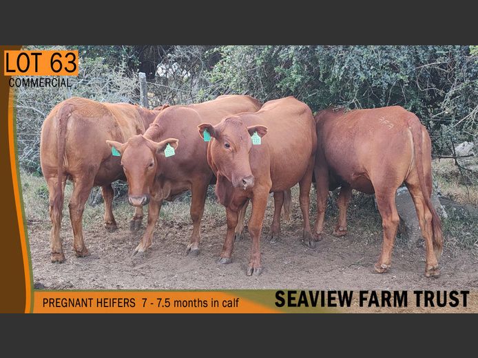 Commercial Animals | SEAVIEW FARM TRUST