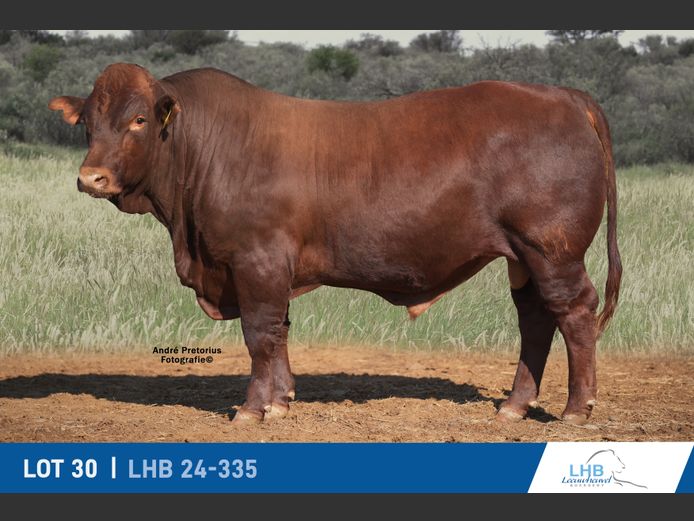 LHB240335 | LEEUHEUWEL BOERDERY (EDMS) BPK