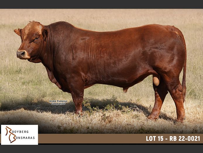 RB 220021 | ROOYBERG BOERDERY