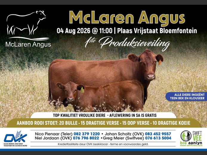 MCLAREN ANGUS PRODUKSIEVEILING
