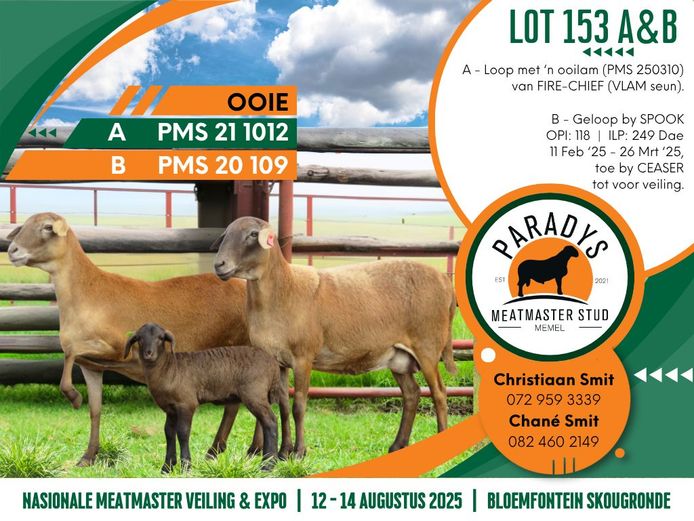 PMS 211012 | PARADYS MEATMASTER STOET