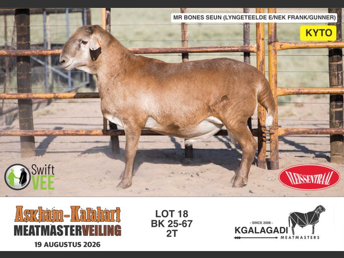 BK 25-67 | BARRI KNOETZE